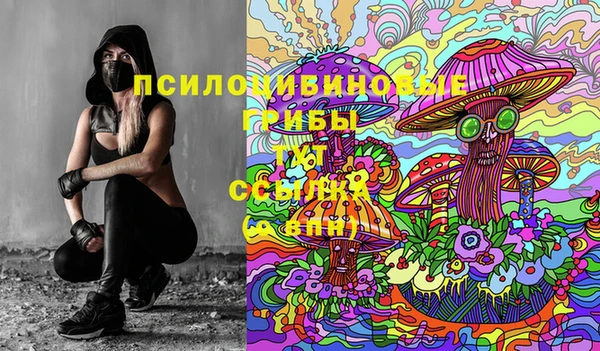 круглые Алзамай