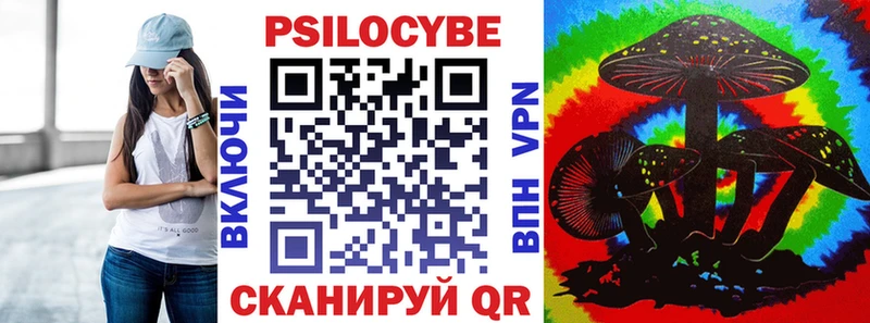 закладки  Осинники  Псилоцибиновые грибы MAGIC MUSHROOMS 
